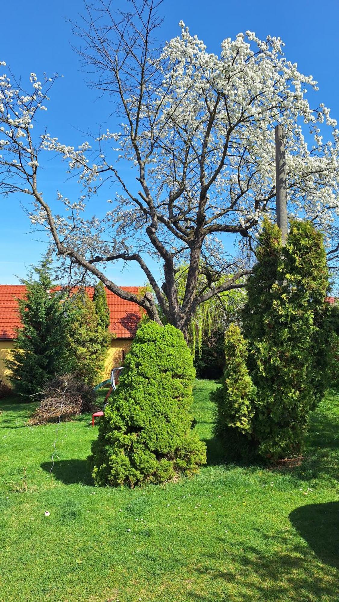 Апартаменты Prague Zbraslav Old Garden Экстерьер фото